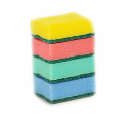 Sponge Scourers